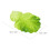 4Pcs Realistic Fake Lettuce Leaf Models Plastic for Photography Props 2