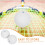 2St Squashbal Rubber Training Wit Voor Hand-Oogcoördinatie En Sport 5