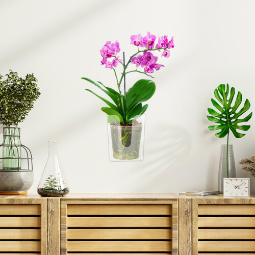 2Pcs Clear Hanging Plant Pots Wall Mounted Planter for Indoor Orchids 2
