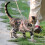 1 Set Rust Metal Cat Leash And Harness For Outdoor Walking 6