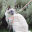 1 Set Rust Metal Cat Leash And Harness For Outdoor Walking 7