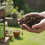 Levington Levington Peat Free Organic Top Soil 20L Bag 2