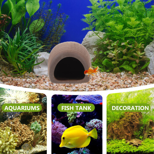 2Pz Per E Gamberetti Decoro Acquario 2