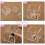 Acrylic Display Case Set for Coins and Rings, Clear Protective Storage Box with Stand, 6 Sets 3