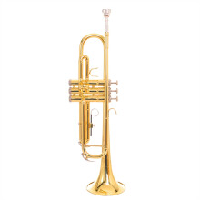 B Flat Trumpet with Monel Pistons, Golden Brass Finish, Bright Tone for Beginner Players