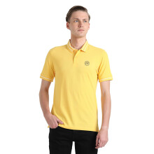 Peter England Ανδρικό Polo T-Shirt Τακτικής Εφαρμογής | Πλούσιο σε Βαμβάκι | Premium Pique, M, Κίτρινο