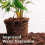 60L Multi Purpose Garden Compost Soil for Plants 2