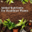 60L Multi Purpose Garden Compost Soil for Plants 3
