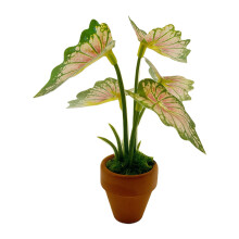 Realistic Greenery Plant Miniature Houseplants Desk-1