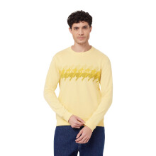 Park Avenue Heren Poly Katoen Slim Fit Gele Casual Ronde Hals Sweater