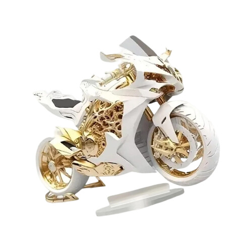 Dromenvangers/padden/motorfiets standbeeld ornament 2D-4 EEN