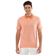 Allen Solly Ανδρικό Πόλο T-Shirt Ροζ Ρίγα