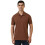 Allen Solly Ανδρικό Κανονικό T-Shirt Καφέ 1