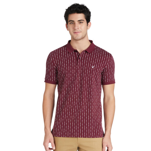 Allen Solly Ανδρικό Κανονικό T-Shirt Καφέ
