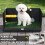 PawHut Inodoro para Perro Negro 75 x 51 x 36.5 cm 4