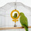 Interactive Bird Mirror Toy with Bright Sun Flower Shape Double 4