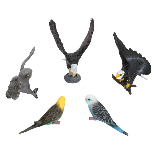 Simulation Bird Models 5 Pack PVC Toy Set