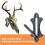 Wall Mount Skull Hook Rustics Styles Metal Hanger for Home 4