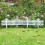 Interlocking Plastic Fence Panels For Outdoor-White butterfly 3