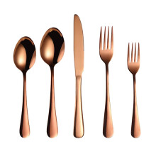 Travel Cutlery Set 5 Piece Rose Gold Stainless Steel Flatware with Knife Fork Spoon Ergonomic Grip and Carry Case