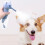 Rechargeable Pet Bath Foamer Producer Creates Dense 2