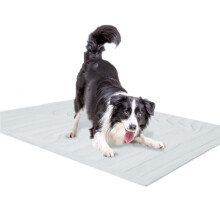 Sustainable Freezing Organisms Blanket Ice Cool-Gray XL