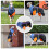 Dog Winter Jackets Colorful Pattern Reflective Dog-lan cheng L 4