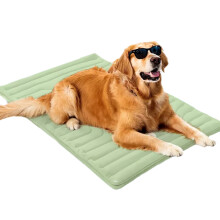 Seizoen Bevriezende Organismen Pad Ijsdeken Voor Honden-Groen XL