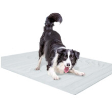 Coussin de congélation sûr pour chiens, tissu de glace,-Gris M
