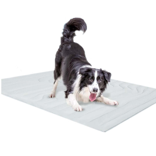 Coussin de congélation sûr pour chiens, tissu de glace,-Gris M