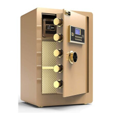 Fingerprint Safe with Password Access and Burglar Alarm, Gold Wall Mounted Home Office Safe 38x33x60cm