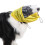 Bonnet de bain enveloppant les oreilles de chiot, pour petits,-L 7