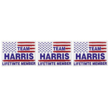 3Pcs Patriotic American Car Stickers Assorted Color Easy Apply Decals