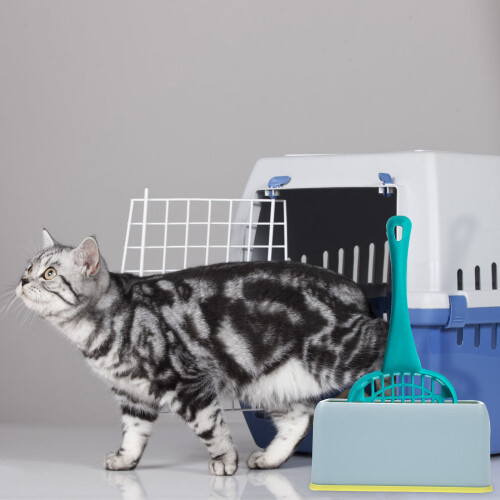 2Pz Porta Paletta Lettiera Gatto Celeste Pratico E Duraturo 2