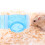 1Set Labirinto Per Criceti E Gerbilli 3