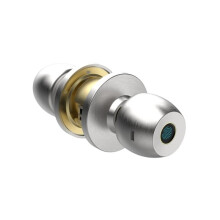 Poignée de Porte Électronique Tuya avec Verrouillage par Empreinte Digitale, Poignée de Porte Ronde en Acier Inoxydable, Verrou de Rotation