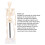 Mini Skeleton Model 42cm PVC White Detachable 4