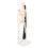 Mini Skeleton Model 42cm PVC White Detachable 16