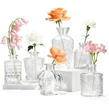 Ensemble de 6 Petits Vases en Verre, Élégants Vases à Fleurs pour Centres de Table, Décoration Intérieure et de Mariage