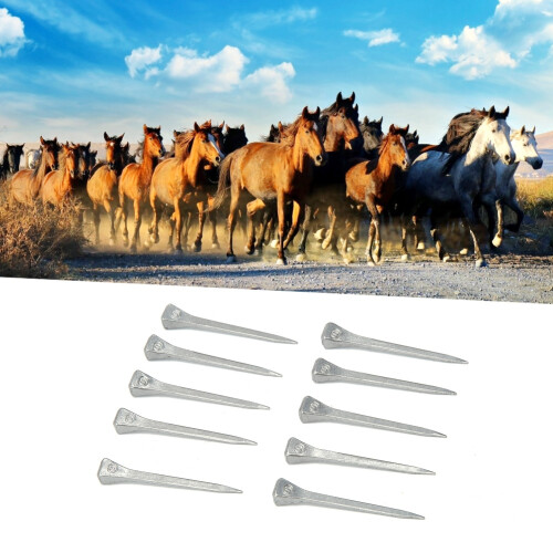 250Pcs Low Carbon Steel Horseshoe Nails E4