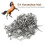 250Pcs Low Carbon Steel Horseshoe Nails E4 4
