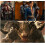 Fallout Season 1-2 Blu-ray 1080P BD 5