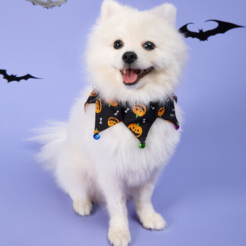 Halloween Cat Collar with Bells, Pumpkin Pattern 2