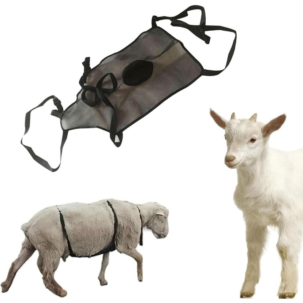 Goat Breeding Control Apron With Adjustable Strap, Black Livestock Anti Mating Belt For Farm Bucks 9073542923121