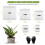 30Pcs Stainless Steel Gopher Proof Root Guard Baskets, Mix Size Mesh Baskets for Plant Tree Root Protection 7