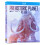 Prehistoric Planet: Ice Age (2025) Blu-ray 1080P BD 1