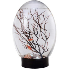 Mini acquario Ecosphere, ecosistema acquatico chiuso, acquario da tavolo con LED e base girevole.
