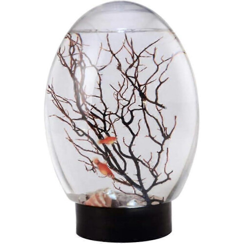 Mini aquário de mesa com ecossistema aquático fechado, com base giratória e LED.