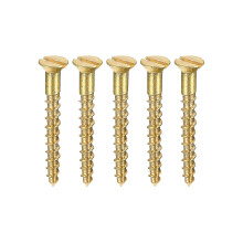 100 vis à bois en laiton à tête plate fendue M2 x 16 mm