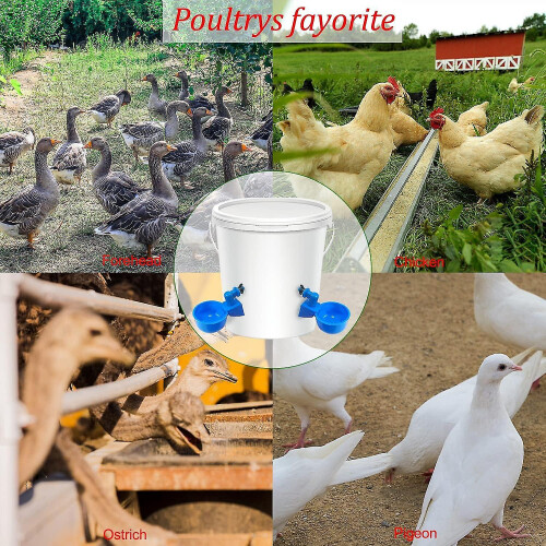 12 Pieces Chicken Drinker, Automatic Drinker, With Punch Tools, Suitable For Chickens, Ducks And Other Backyard Poultry 2